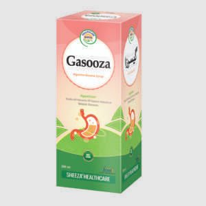 Sheeza Gasooza Syrup | 500ml |