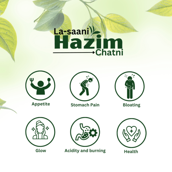 Sheeza La-saani Hazim Chatni | 250gm | Pack of 3 | - Image 4