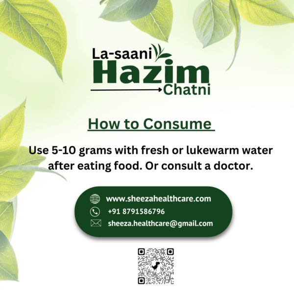 Sheeza La-saani Hazim Chatni | 250gm | Pack of 3 | - Image 7