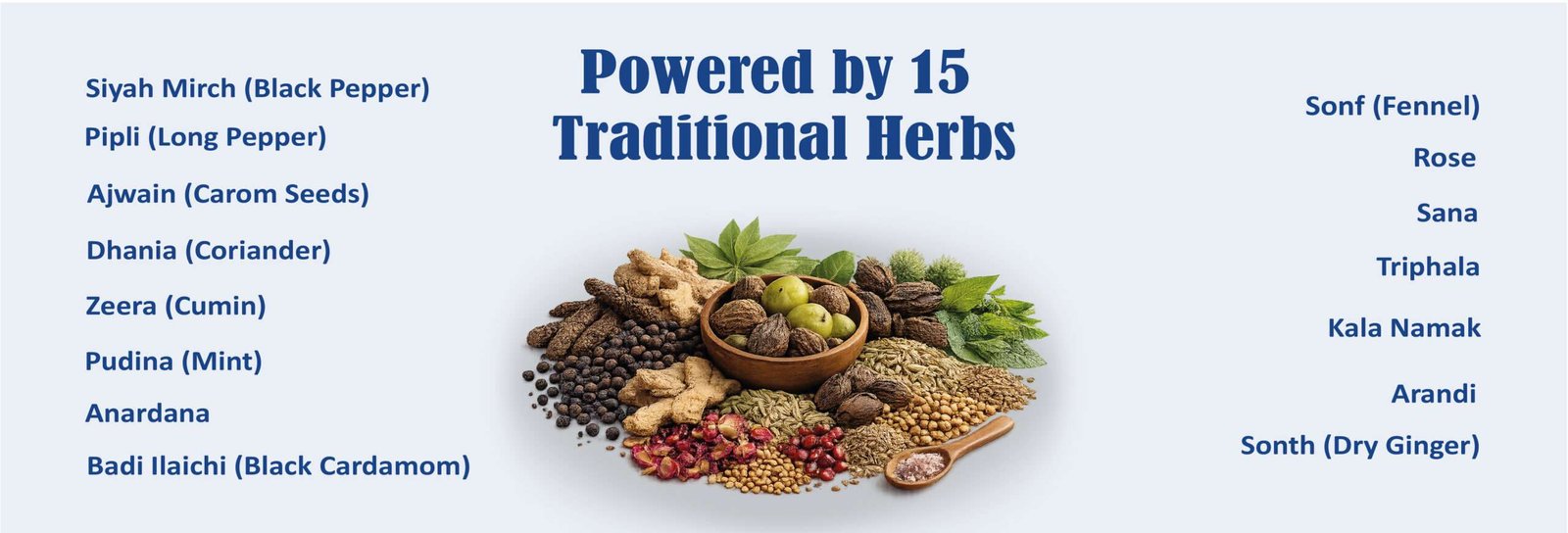 Sheeza Slimza Powder traditional herbal ingredients infographic featuring 15 herbs and spices.